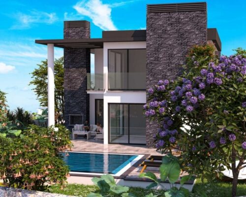 My House Citrus Garden